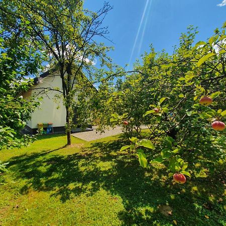 Tetmajera View & Garden Villa Dębica Buitenkant foto