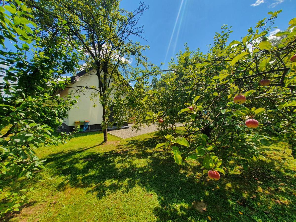 Tetmajera View & Garden Villa Dębica Buitenkant foto